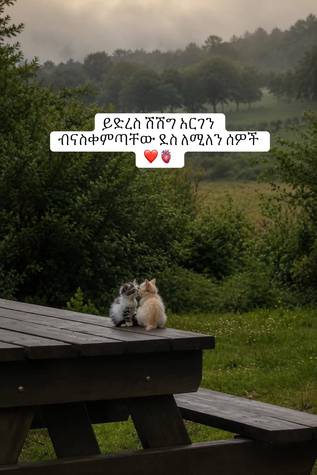 @๐๐๐๐๐ช๐น๐งก