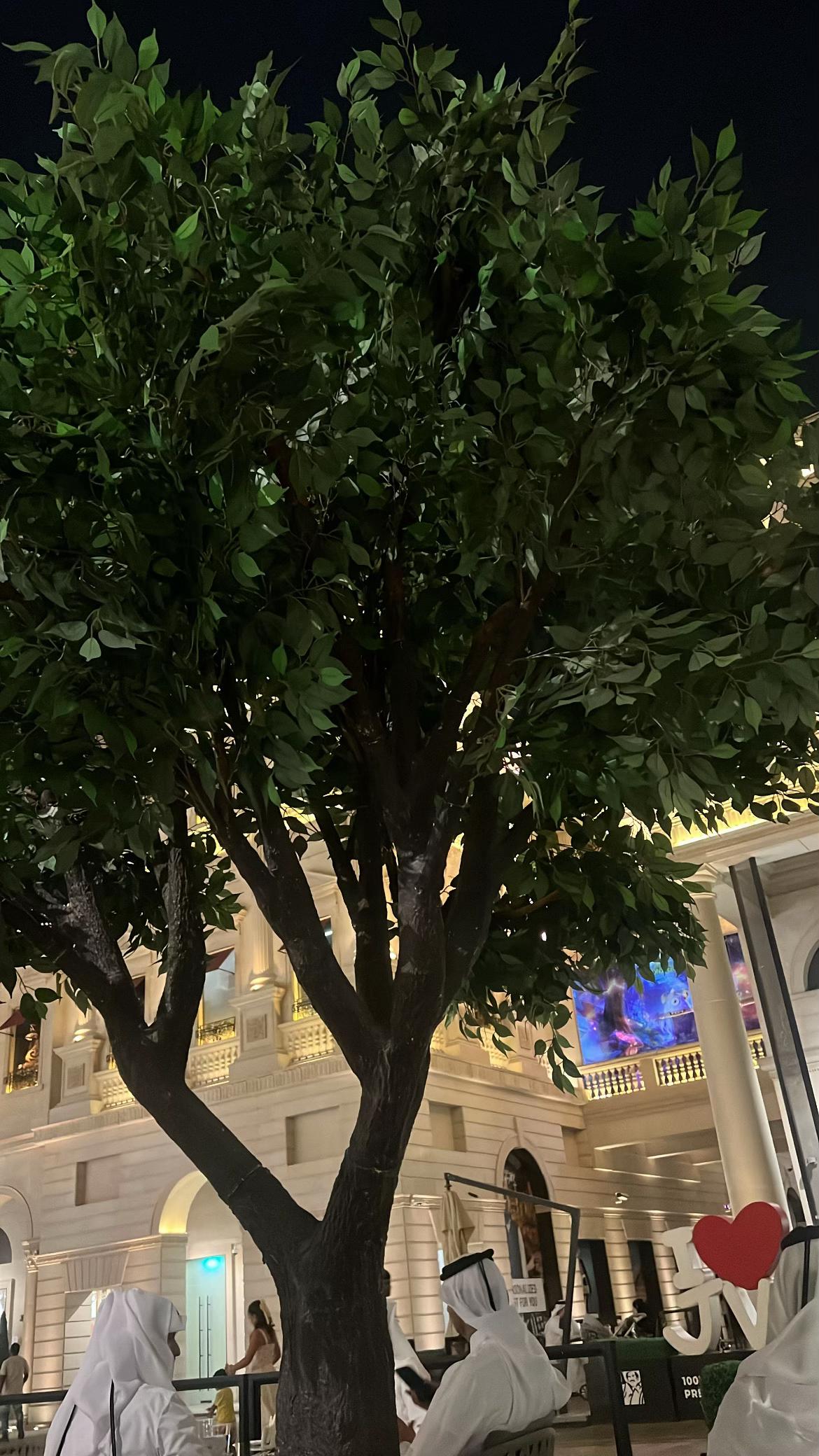 @سعسع 🤪🤪
