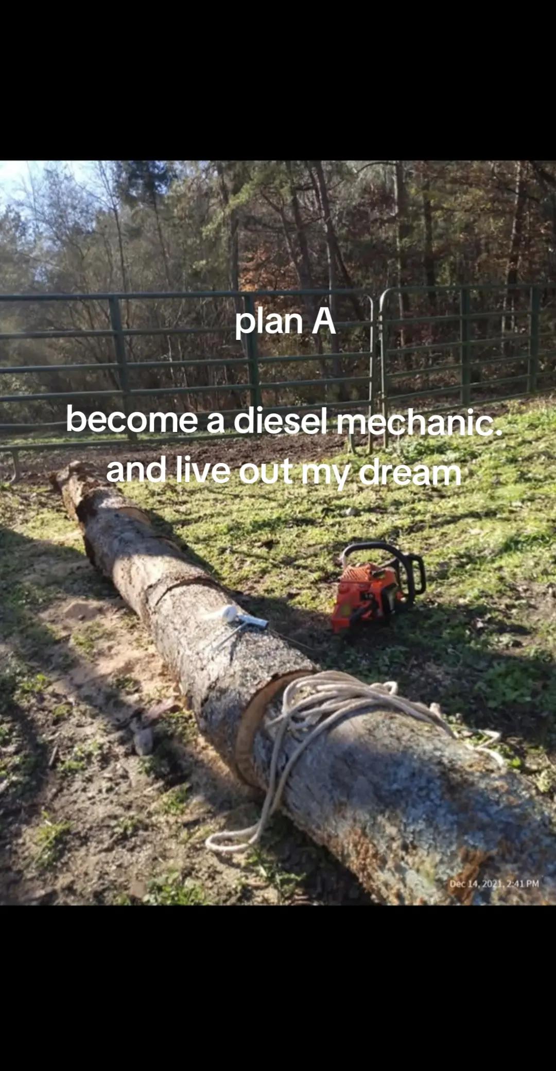 @⁴²³ɓŕàỳ ✝