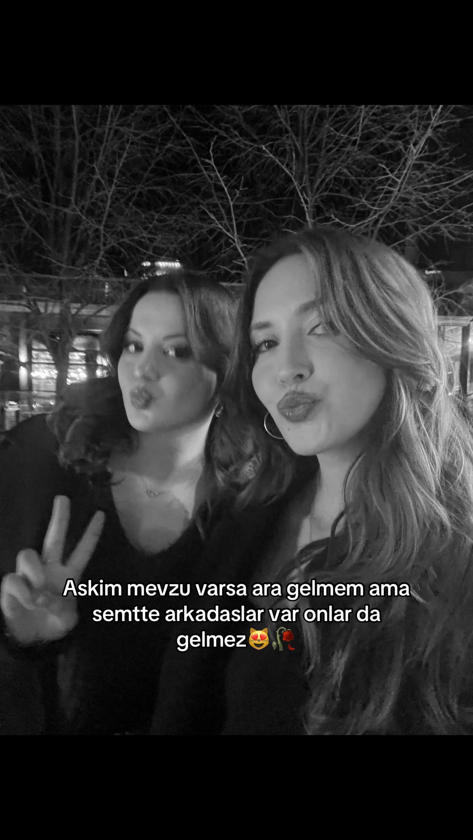 @ilke