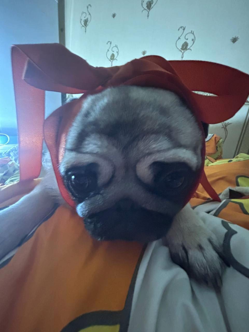 @selfxmits