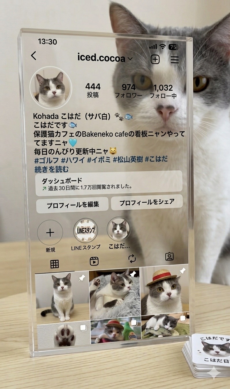 @ラブリーデイ