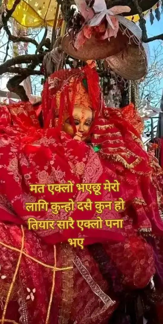 @जय माता पाथीभरा