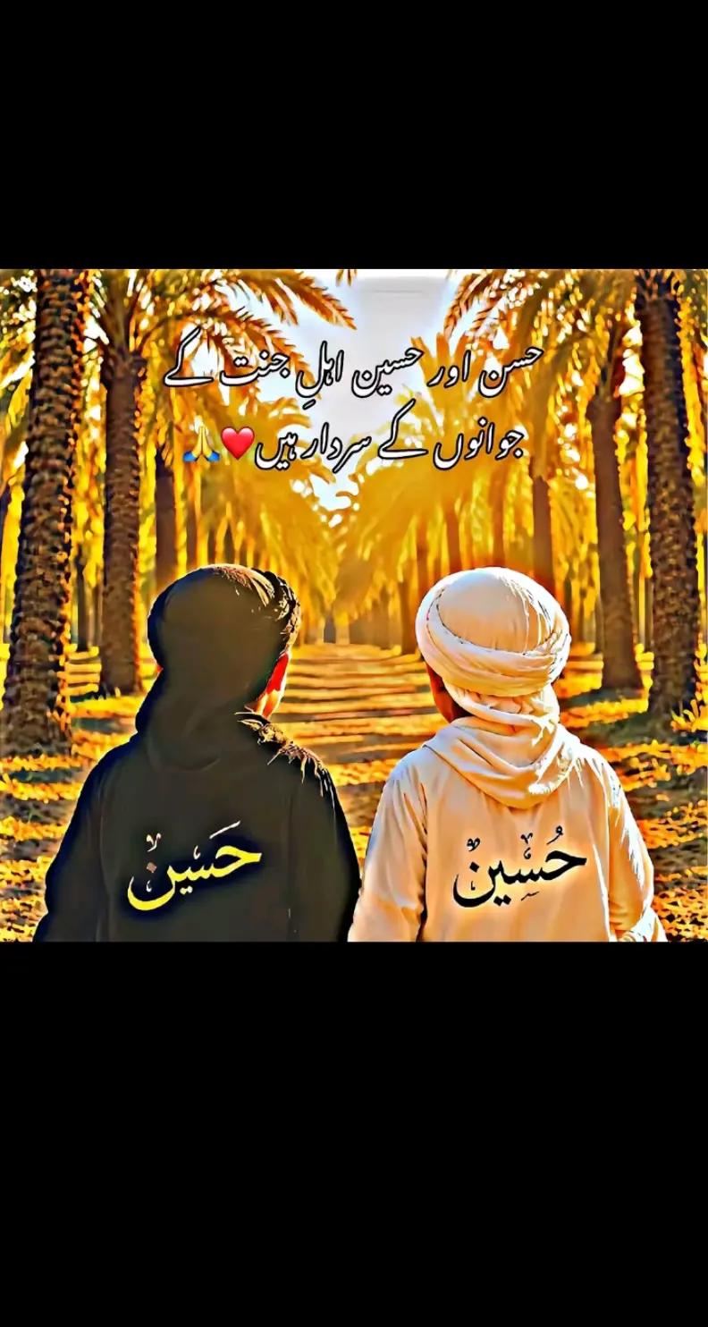 @😇Mr raheel