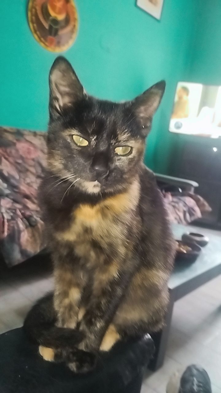 @Rocío💗imaz