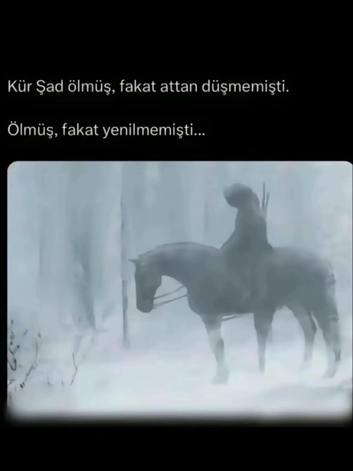 @Tevfik Kurt