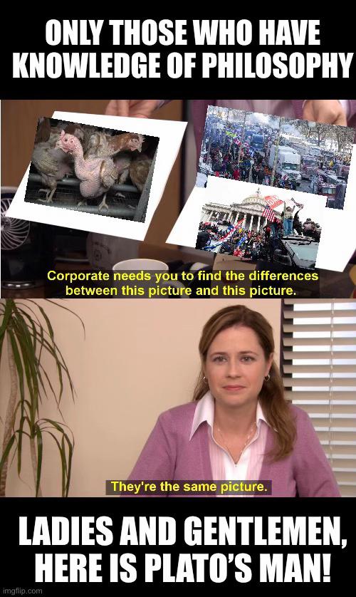 @Rotten