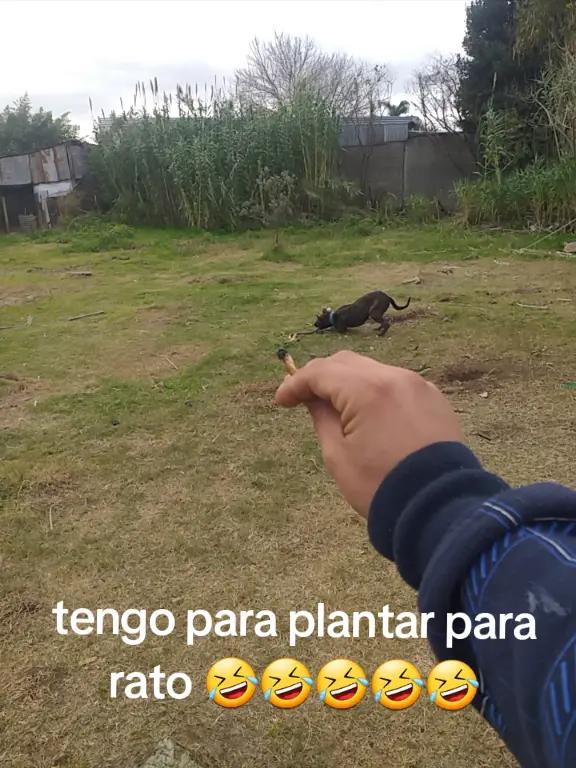 @Rubi rodriguez