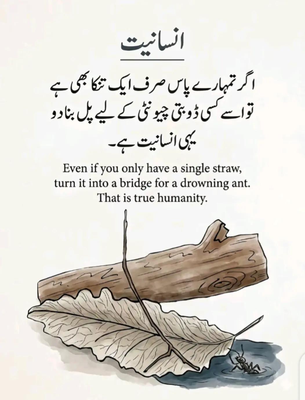 @Syed Fazal hashmi 🇵🇰 🇶🇦