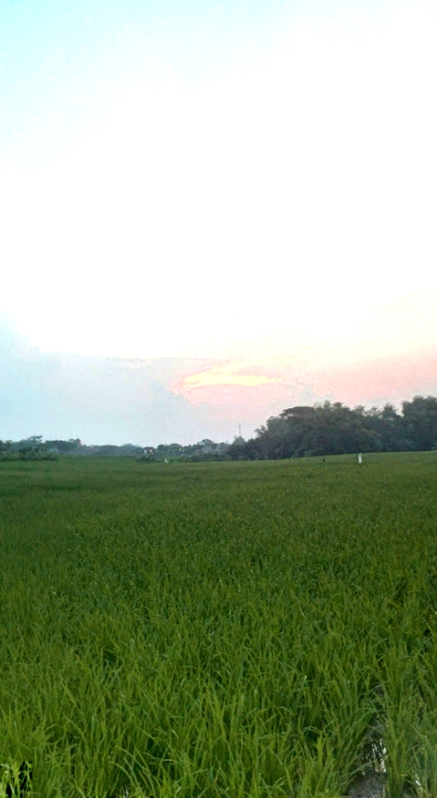 @Bejo 88 ke2