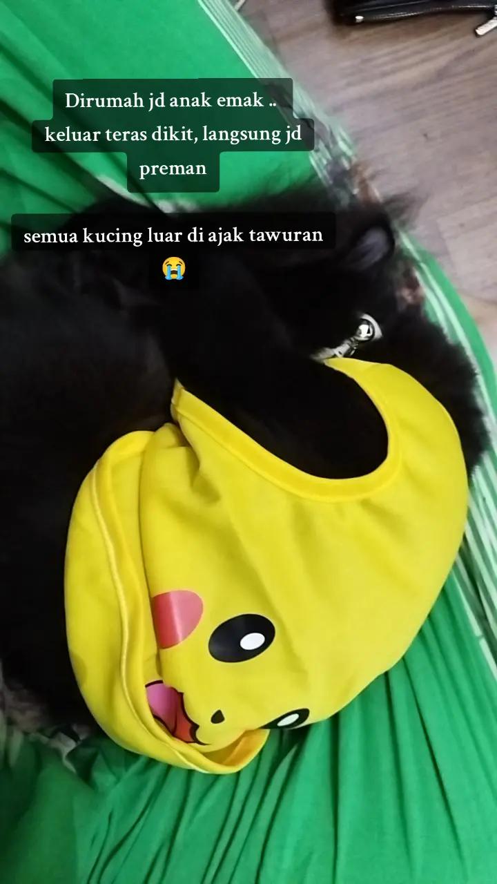 @Chiko Jelita