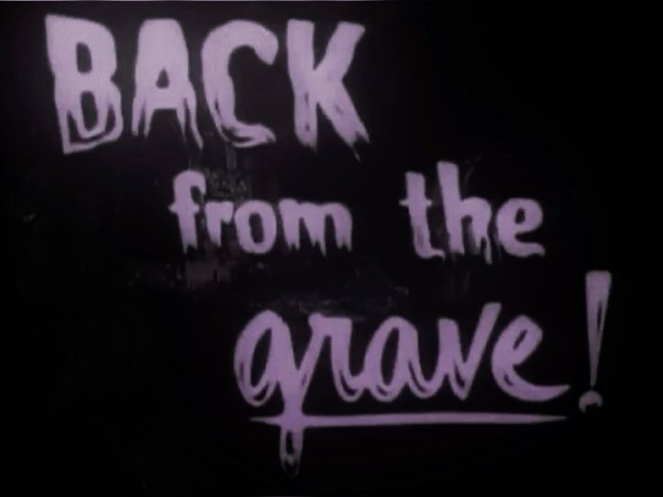 @Nat 🦇