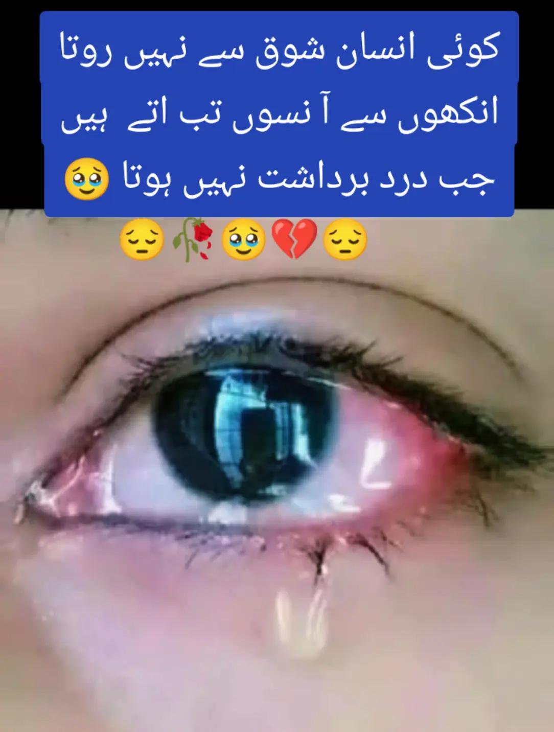 @Hassan Hussain💞