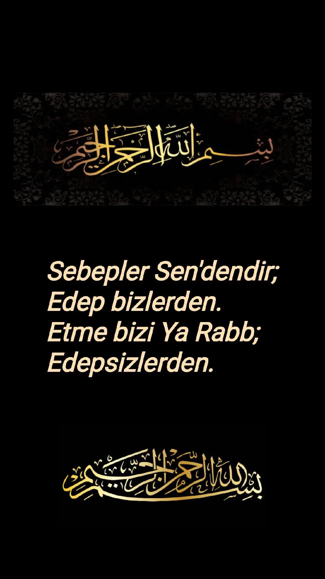 @LAZ UŞAĞI