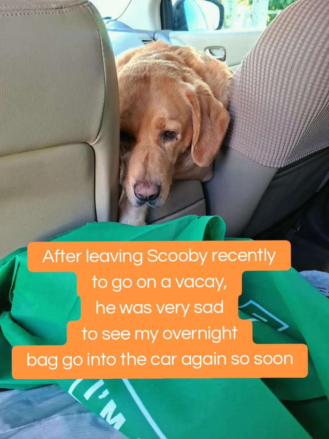 @Dogmom