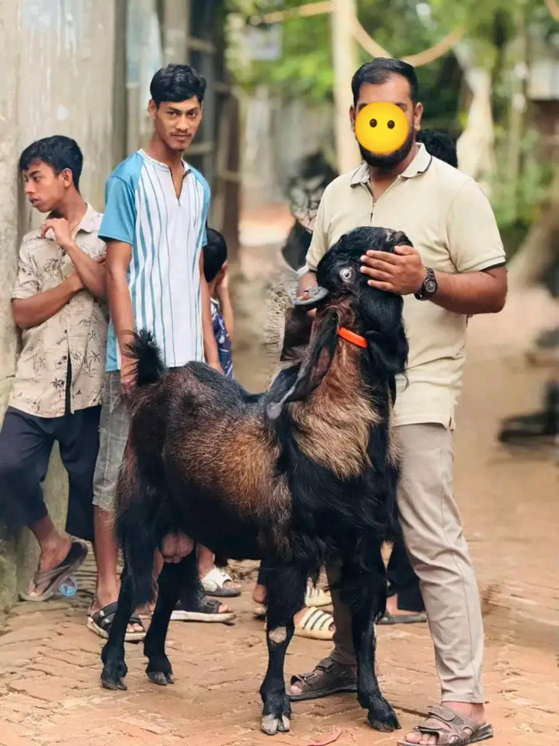 @❤️🩹😅Sourav Das❤️🩹😅