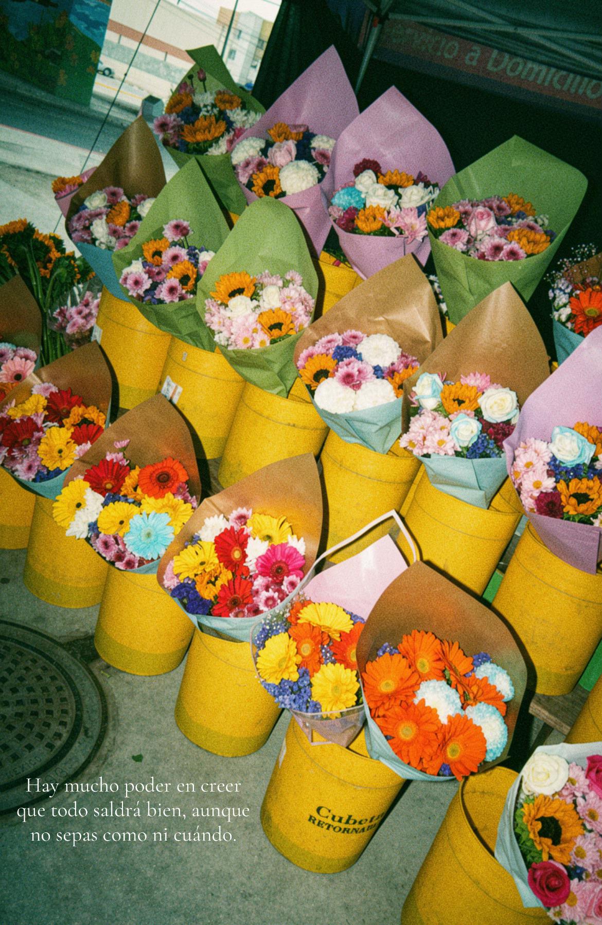 @𝒟𝒶𝓃𝒾𝑒𝓁𝒶 🏹