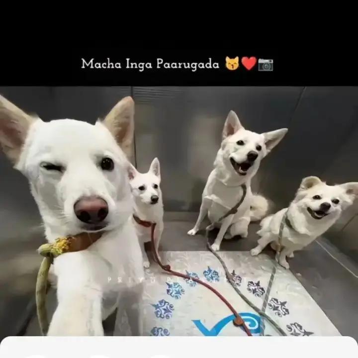 @แดแดแดส ๐๏ธโค๏ธ