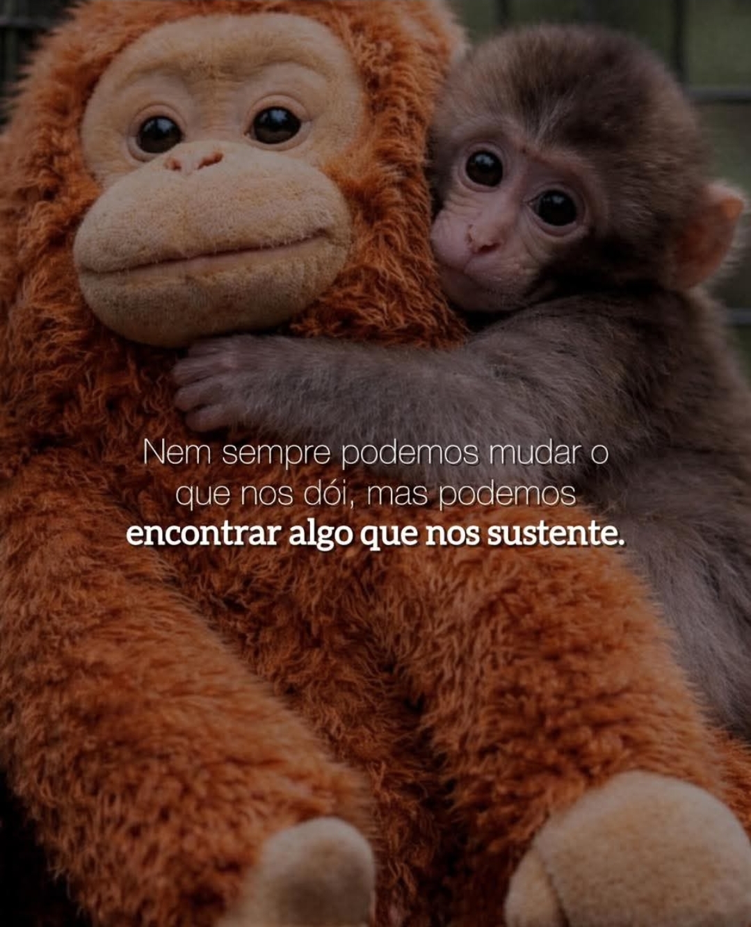 @Neto
