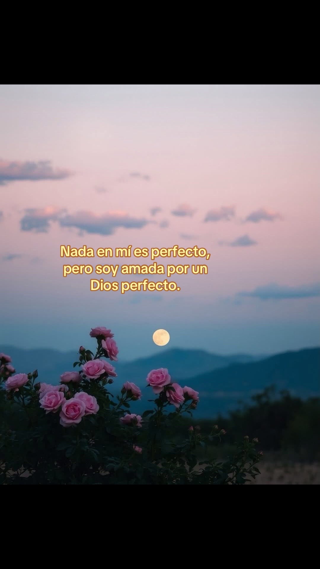 @🌻✨𝐸𝐿𝐼𝒵𝒜𝐵𝐸𝒯𝐻✨🌻
