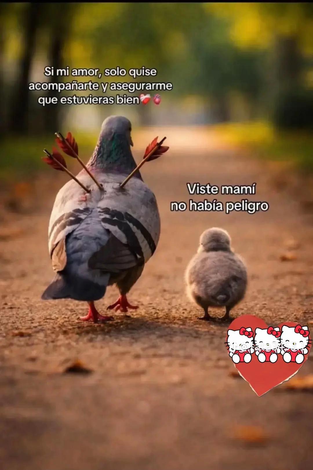 @Karol🎀🎀