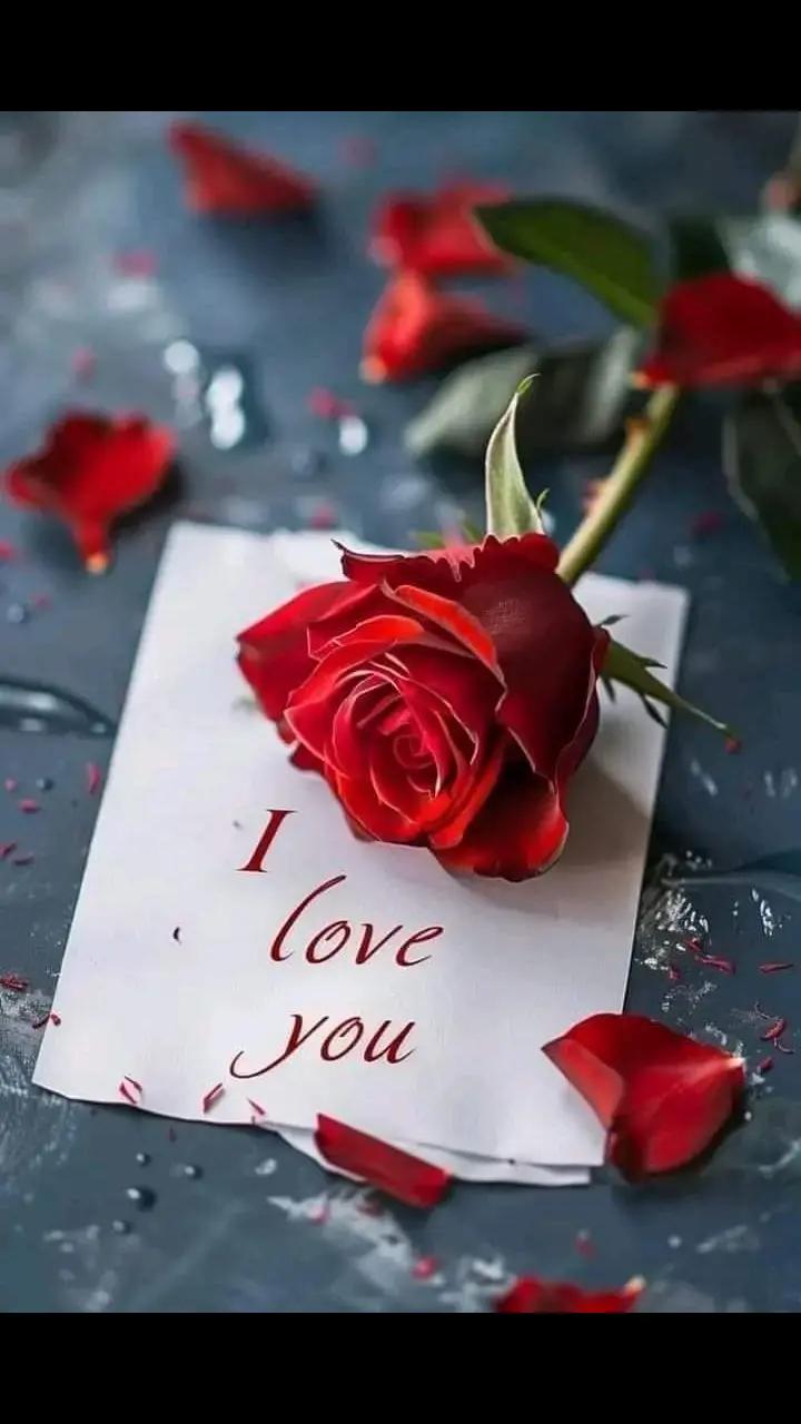 @zena