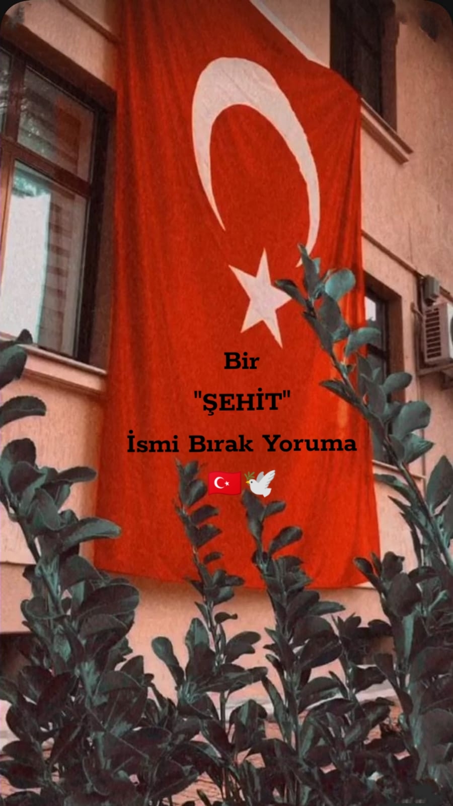 @𐱅𐰭𐰼𐰃 𐰋𐰃𐰔 𐰢𐰀𐰤𐰤