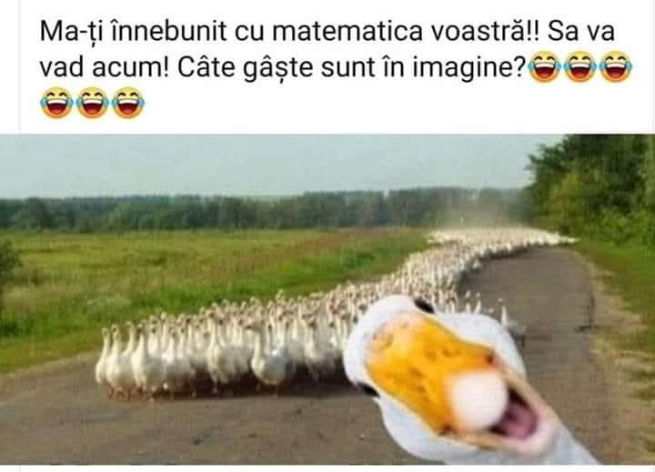 @Marian Marin