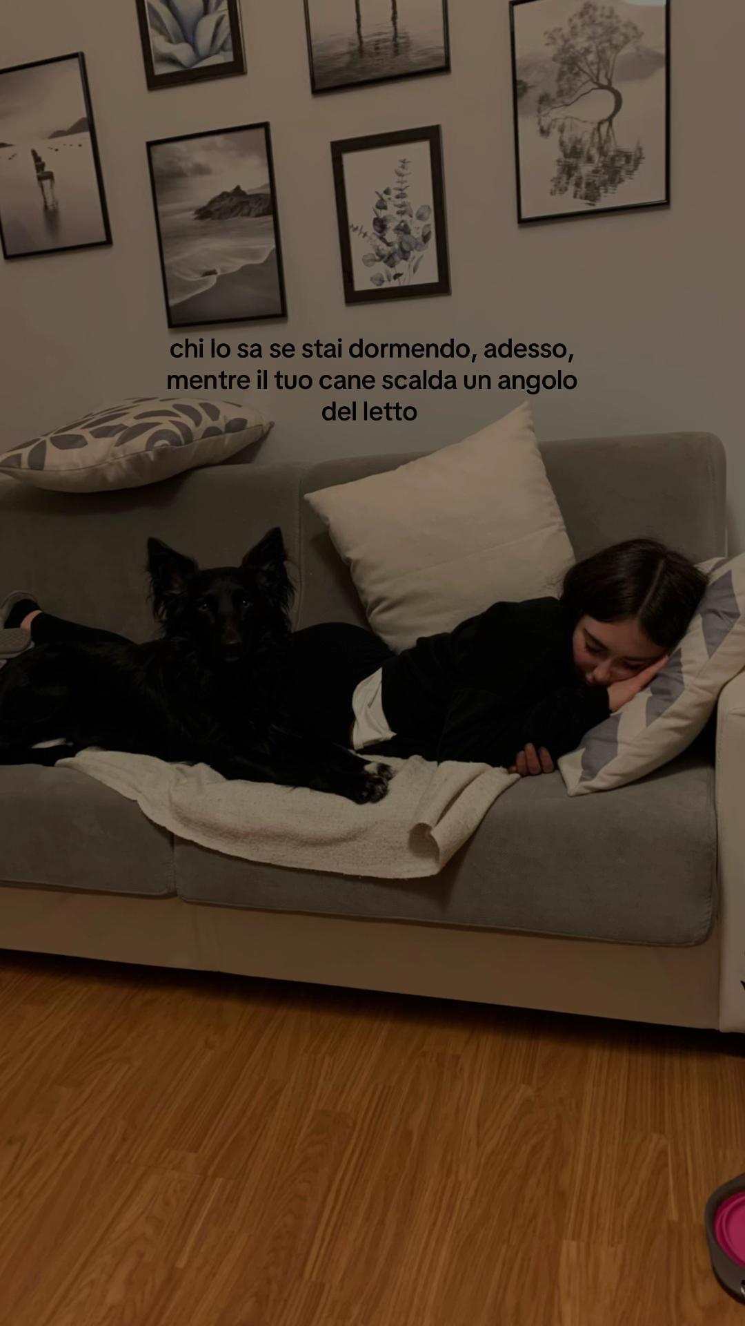 @bibi★