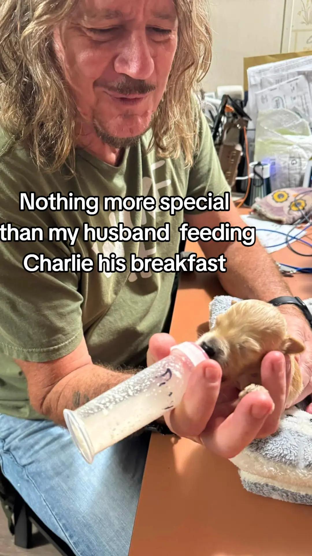 @Little Bit Wildlife Rescue