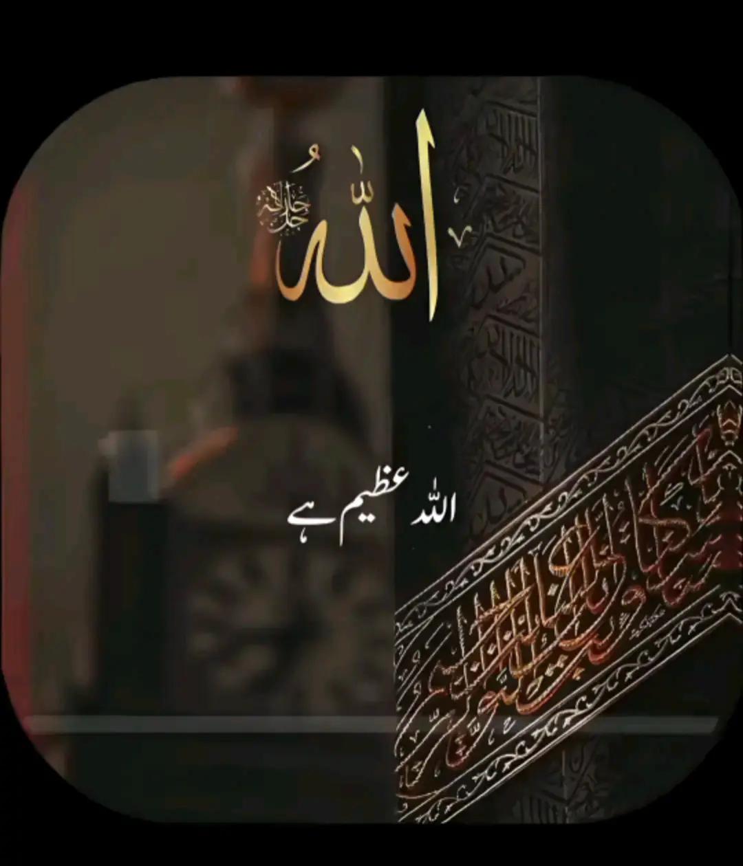 @kashif007