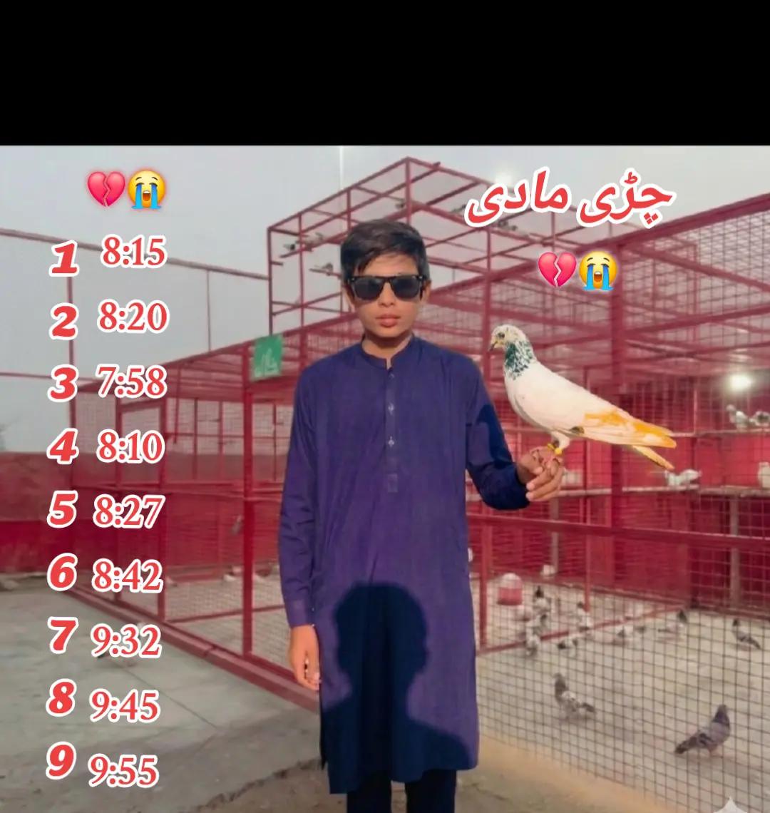 @🕊️ ملک دانیال 4❤️
