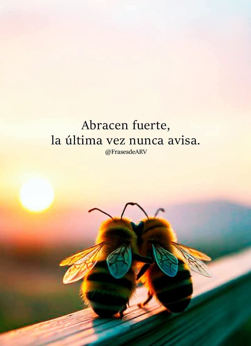 @Daniela504🤝