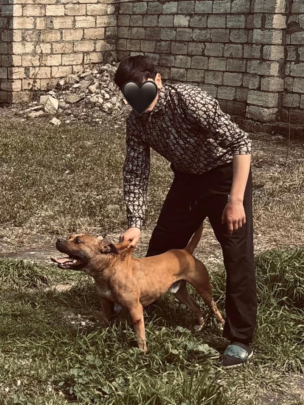@Joker_pit8