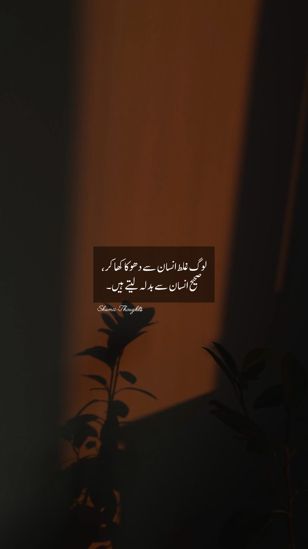 @shumaila malik