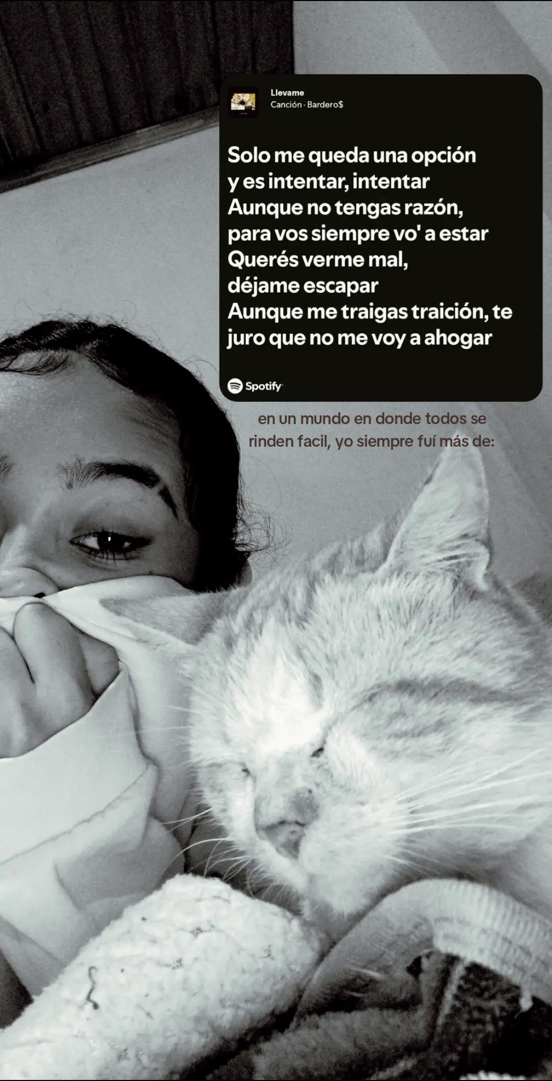 @antoo🦇