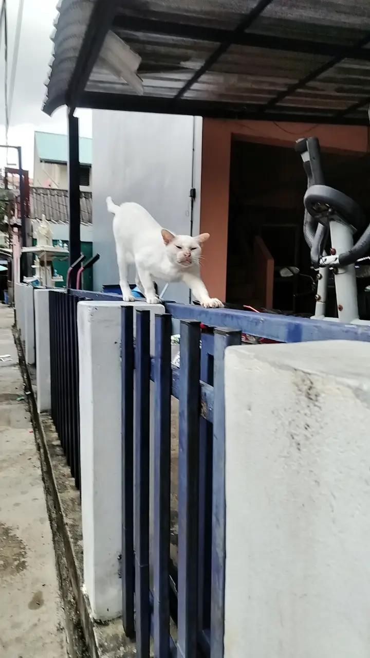 @เคอาร์