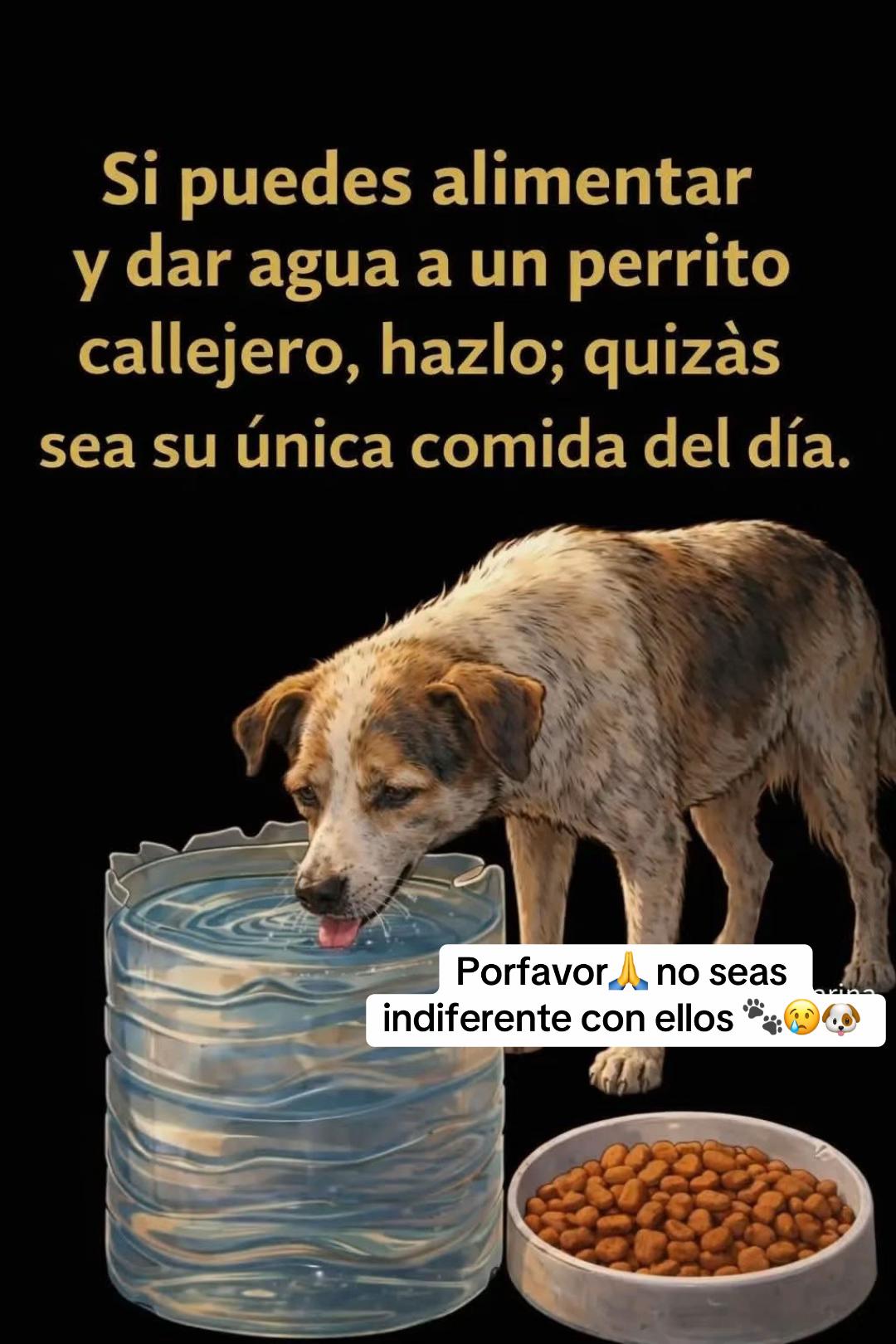 @Patricia Briceño