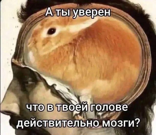 @Ppatr1ott мемчик