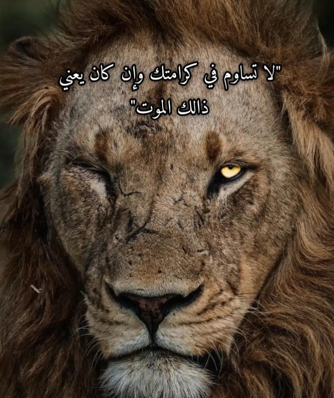 @آلَآًسًــــــــد🦁