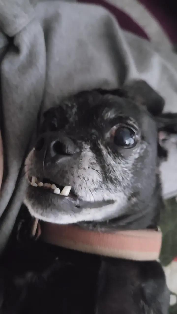 @Sasmaster