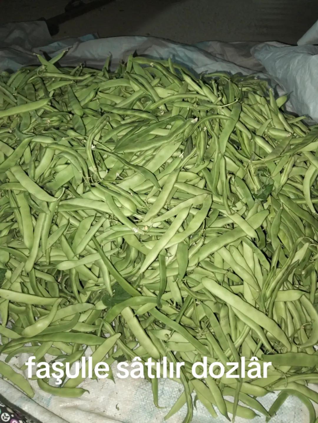 @senemhira