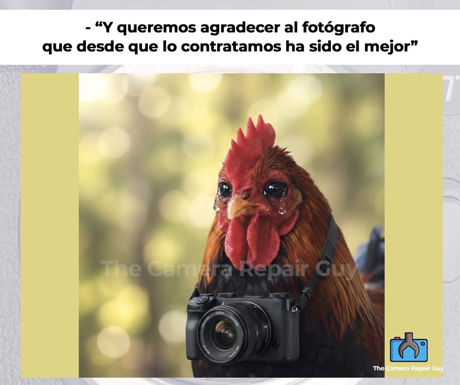 @Cesar Rodriguez8622