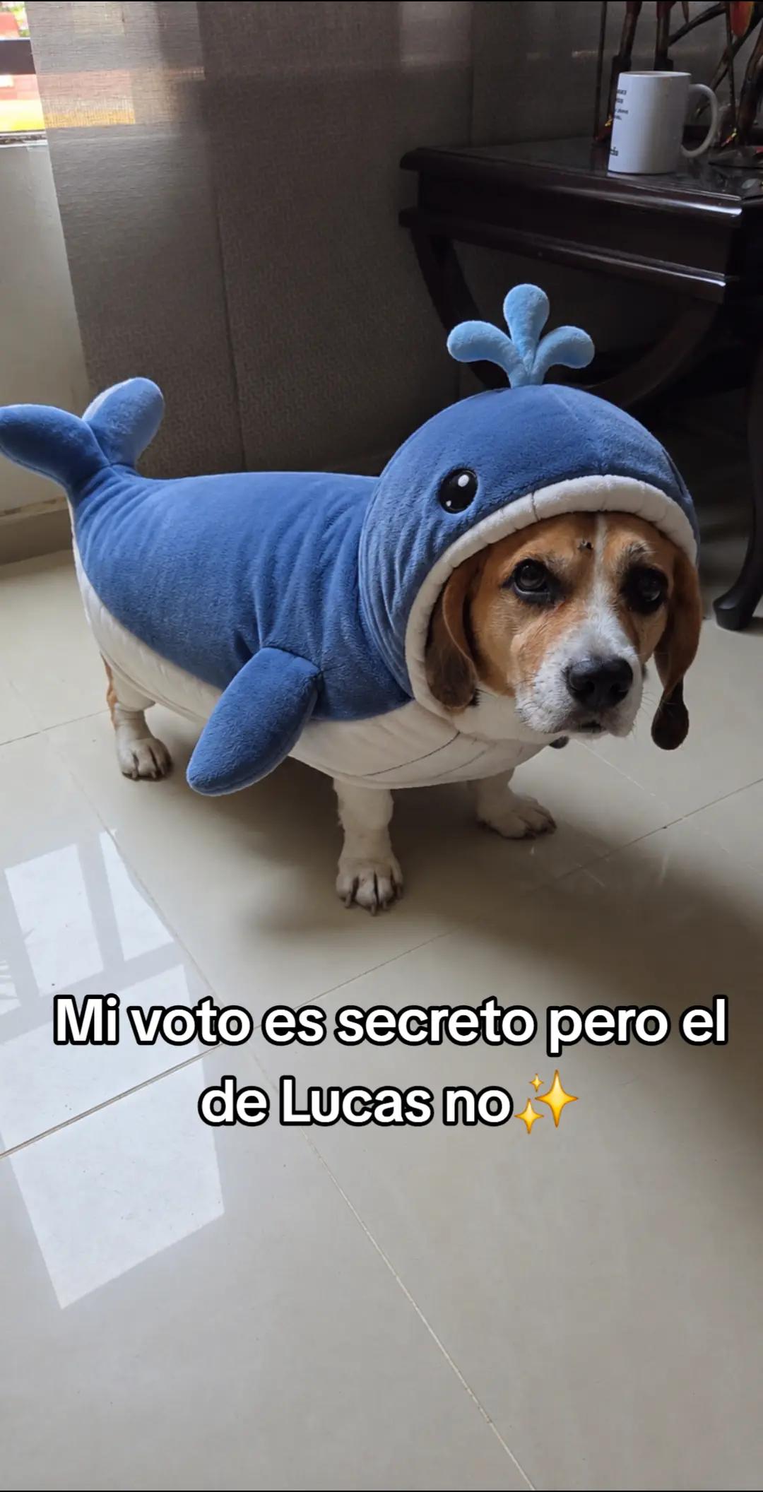 @Ana