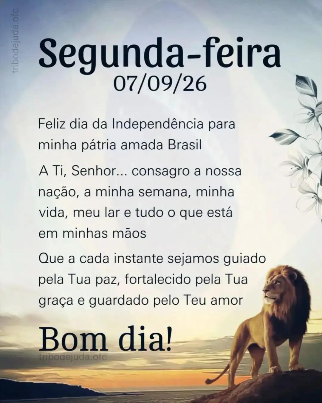 @valdo-lima