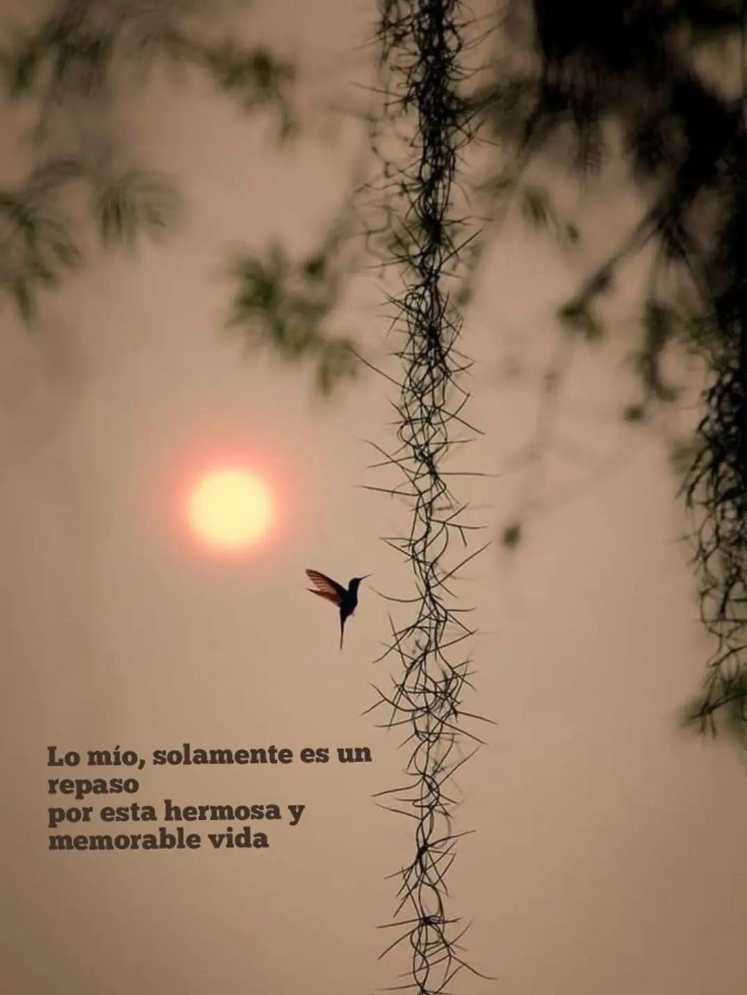 @Ingrid Moreno