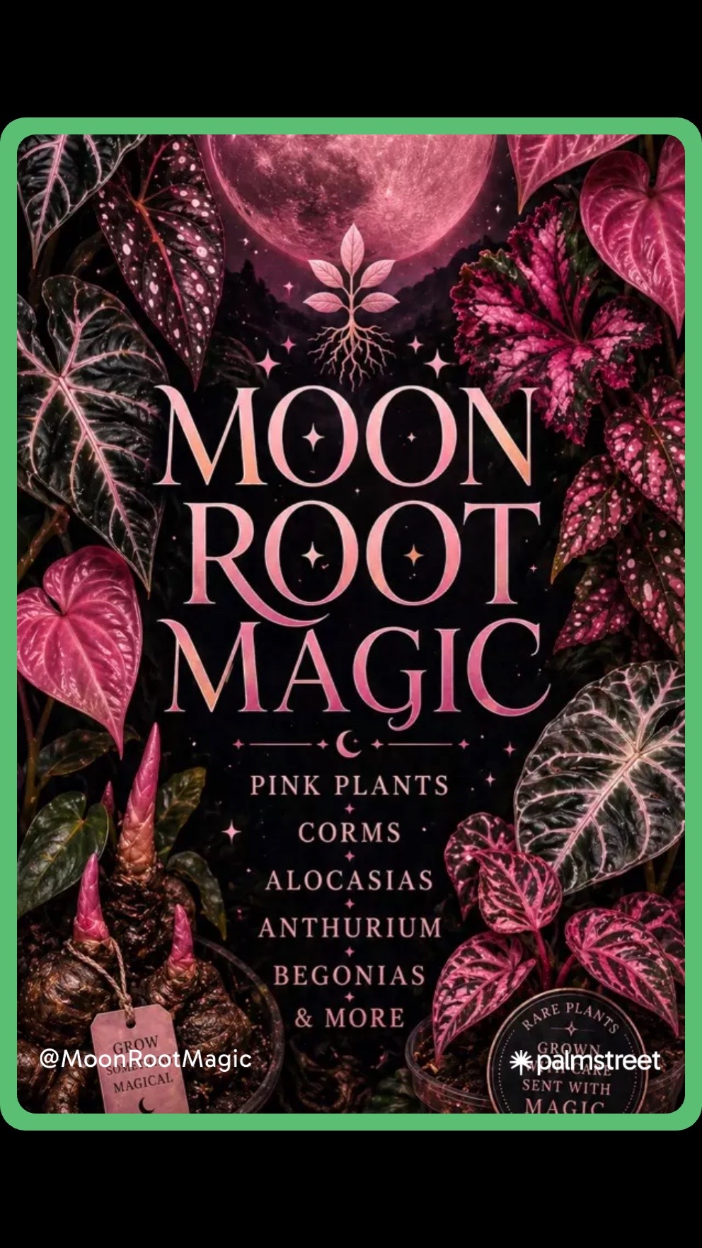@Moon Root Magic Plant House