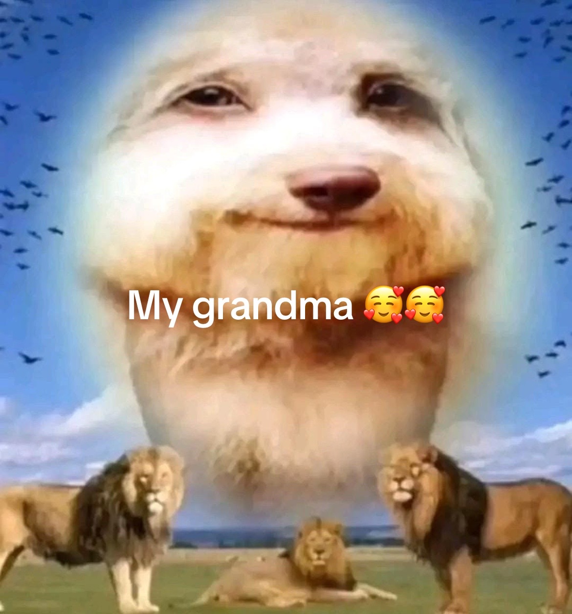 @Luludr4gonZ123
