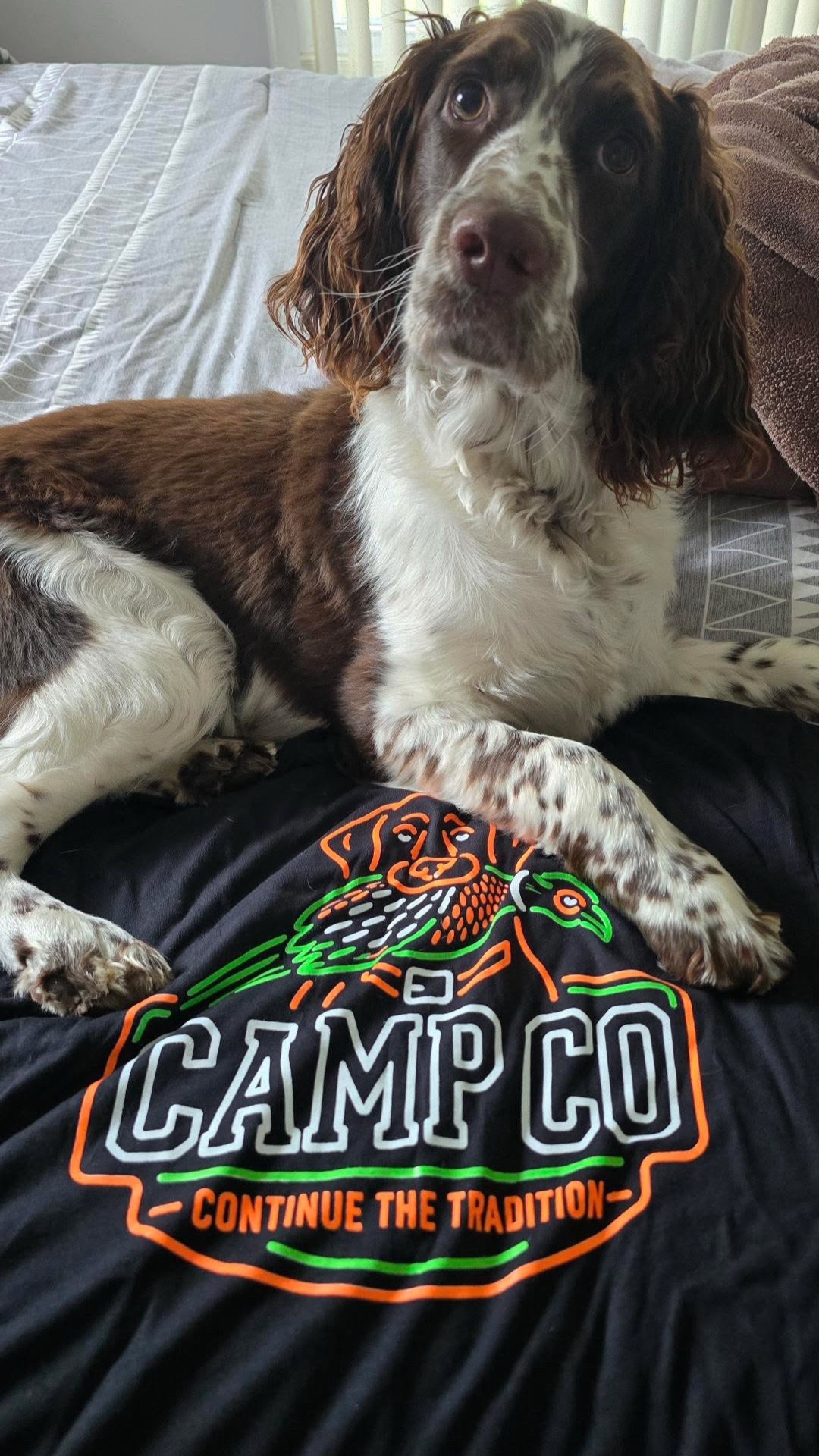 @Camp Co. Goods