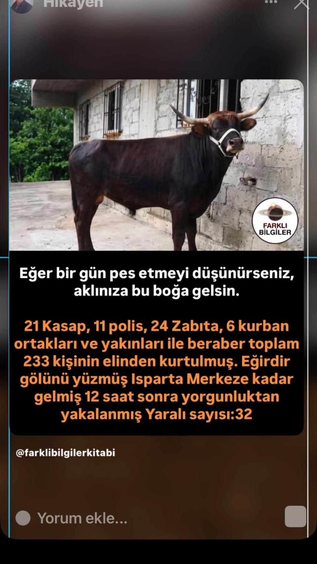 @Atilla_Arıcı07